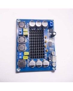 CA-3116S AMPLIFIRE CA-3116S Digital Audio Amplifier Board DC12-24V